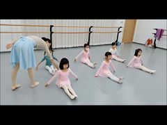 -中央芭蕾舞团·中芭艺蕾(酒仙桥明星校区)