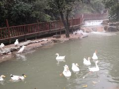 -云丘山景区