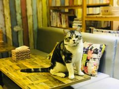 -小时光咖啡馆(开森度假森林店)