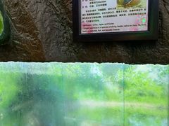 -上海大自然野生昆虫馆