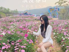 -清远熹乐谷温泉度假酒店