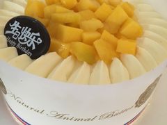-维尔纳斯·生日蛋糕·动物奶油冰淇淋蛋糕(六里桥店)