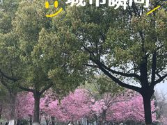 -艾溪湖湿地公园
