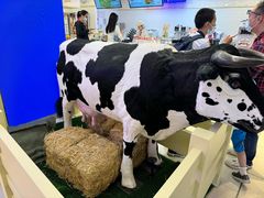-红星前进面包牛奶公司(君太店)