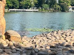 -荔枝公园(福田区)