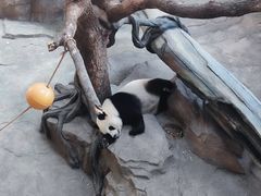 -宁波野生动物园