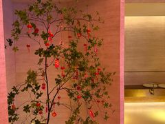 -舒小悦·舒养SPA·古法推拿(光环中心店)