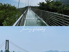 -南丹山森林王国