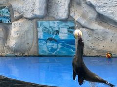 -泉州海丝野生动物世界