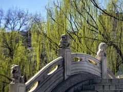 -文瀛公园