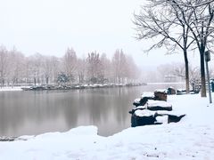 -大兴滨河森林公园