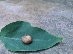 -中国铁路上海局集团有限公司杭州职工培训基地