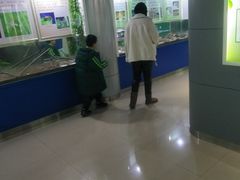 -上海昆虫博物馆