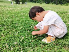 -云漫湖生态度假公园