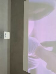 -Z.X HAIR SALON张新美业