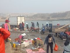 -青岛沙子口国家中心渔港