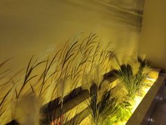 -東大方(湖州白鹭迎店)
