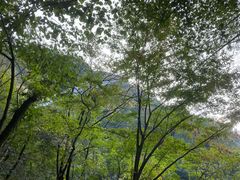 -藏龙百瀑风景区