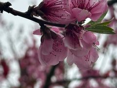 -会稽山峡洞漂流-上青古道
