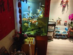 -逸栈养生SPA(望京店)