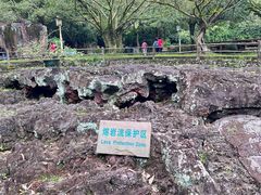 -海口火山口国家地质公园