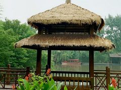 -溱湖国家湿地公园