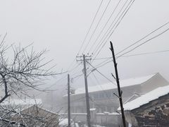 -鹿亭中村