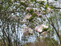 -江南大学(蠡湖校区)