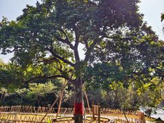 -福建鲤鱼洲酒店