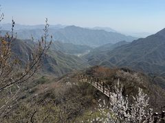 -大岭沟猕猴桃谷风景区