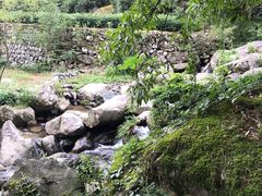 -藏龙百瀑风景区