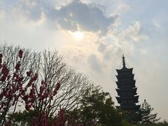-上海方塔园