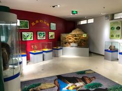 -上海昆虫博物馆