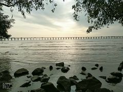 -宝安西湾红树林湿地公园