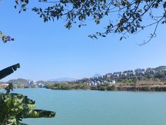 -广州市流溪河国家森林公园