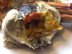 盘锦河蟹-小时候2013(瀚新店)