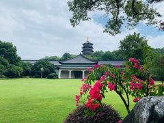 -浙江西子宾馆·牡丹厅