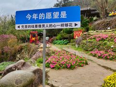 -广东天露山旅游度假区