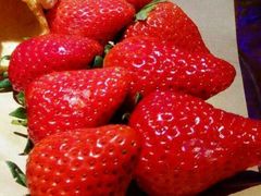 -南苑环球酒店云顶高级中餐厅(鄞县大道店)