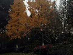 -荆川公园