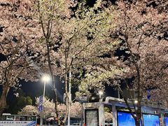 -华中科技大学光谷体育馆