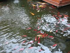 -汤山翠谷生态餐厅