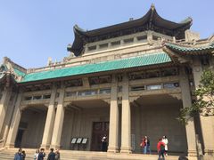 -武汉大学-樱园