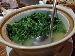 -优之名鹅城