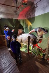 -恐龙探索乐园(磁器口店)