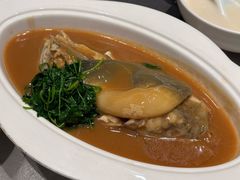 -沈灶河豚宴·河豚融合餐厅(汉中路店)