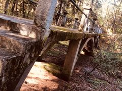 -五营红松林海景区