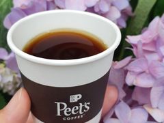 冷萃试喝-Peet's Coffee皮爷咖啡(大学路店)