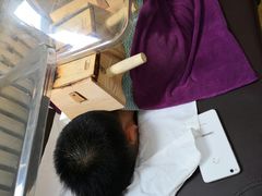 -金桔相云保健按摩中心(同安路商业街店)