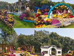 -上海共青森林公园